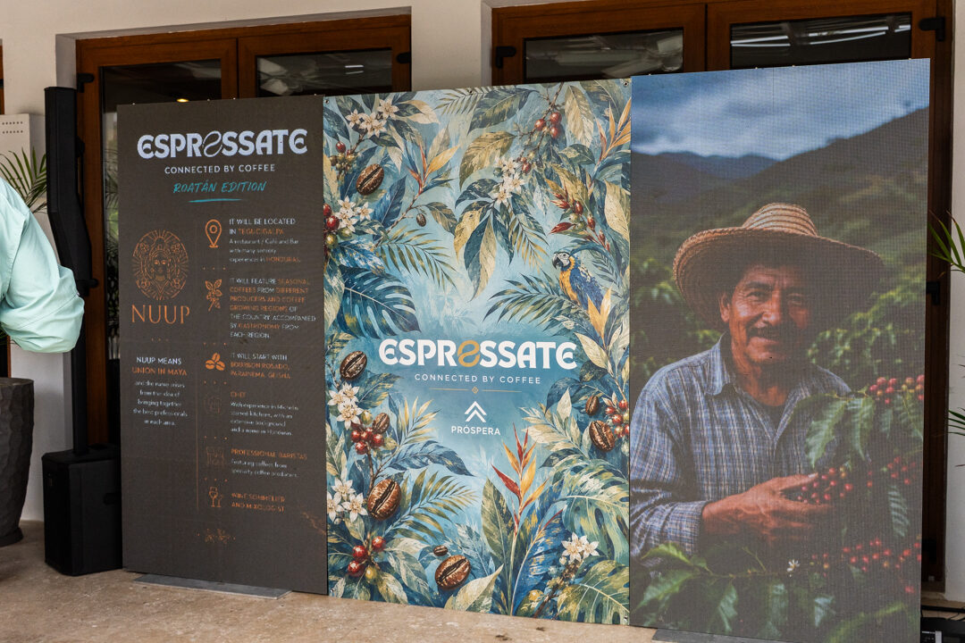 Espressate coffee experience in Roatán