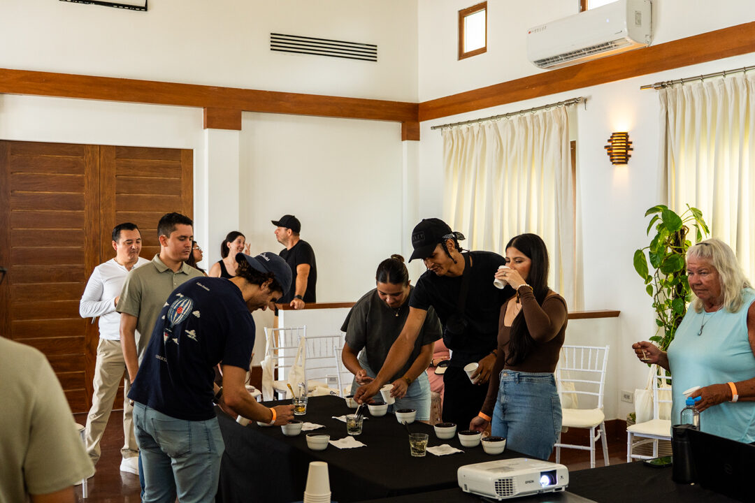 Guided coffee tasting at Espressate